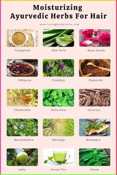 Are you tired of having damaged hair that looks unhealthy and unmanageable? Are you looking for ways to repair your hair and make it look beautiful and shiny? Try these natural treatments for a healthy hair #haircaretips, #haircare Fennel Seeds Benefits For Hair, Ayurvedic Herbs For Hair Growth, Ayurvedic Herbs For Hair, Tea For Hair Growth, Hair Herbs, Ayurveda Hair Care, Exercise Belly, Hair Growth Methods