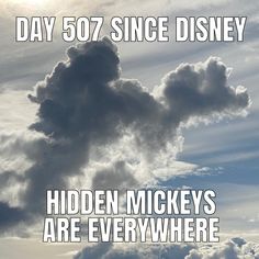 disney meme Disney Humor, Hidden Mickeys, Travel Florida, Orlando Theme Parks, Hidden Mickey, Walt Disney World Vacations, Tropical Destinations, Take Me Back, Hotel Reservations