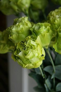 green flowers are in a vase on the table