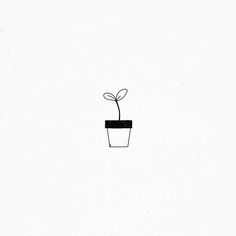 a drawing of a plant in a pot