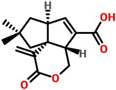 the structural structure of an organic substance