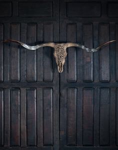 an animal skull mounted to the side of a wooden door with long horns hanging from it's sides