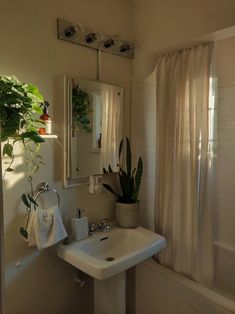 a white sink sitting under a bathroom mirror next to a bathtub filled with plants