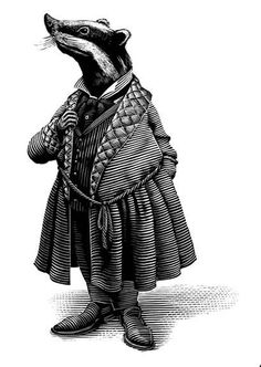 a drawing of a badger dressed in an old fashioned dress and hat, standing on one leg