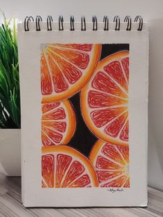 a drawing of some oranges on a white surface next to a potted plant