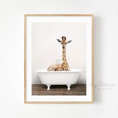 a baby giraffe is sitting in a bathtub