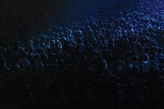 a large group of people standing in the dark with their backs turned to the camera