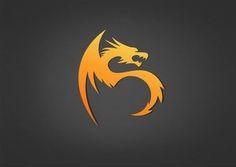 an orange dragon logo on a black background