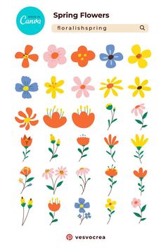 an image of flowers with the words spring flowers written in different colors and font on it