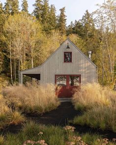 a barn in the woods surrounded by tall grass