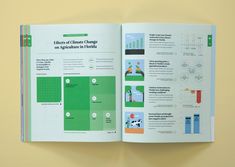 Corporate Magazine Design, Annual Report Cover Design, Book Design Templates, Infographic Examples, Report Layout, 잡지 레이아웃, Manual Design, Data Visualization Design, Page Layout Design