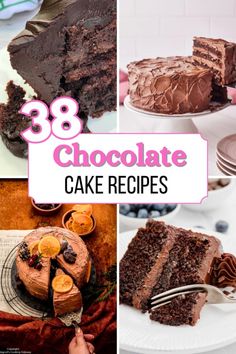 chocolate cake recipe collage with text overlay that reads, 38 chocolate cake recipes