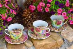 three cups and saucers filled with bird seed sit on top of rocks next to flowers