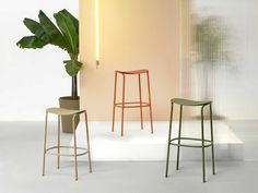 three modern stools and a plant in a room with white walls, one is green and the other is beige