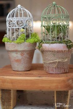 two bird cages with plants in them sitting on a wooden table next to each other