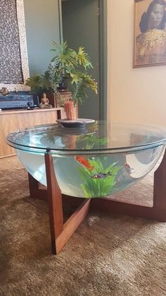 a glass table with fish in it on carpeted floor next to wall and potted plant