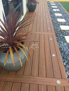 a potted plant sitting on top of a wooden deck