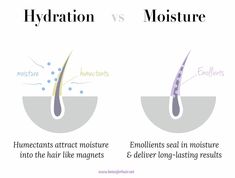 How To Hydrate Hair, Medium Porosity Hair, Low Porosity Hair, Hair Science, Skin Facts, Low Porosity, Best Natural Hair Products, Low Porosity Hair Products, Hair Porosity