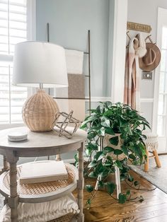 a living room filled with furniture and a potted plant on top of a table