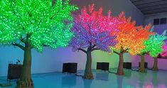 Vibrant rainbow LED light trees for indoor and outdoor decorative lighting. Outdoor Led Lights, Types Of Trees, Aspen Leaf, Coconut Palm Tree, Baobab Tree, Gingko Leaves, Tree Lamp, Led Tree, Tree Stands