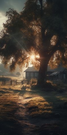 the sun shines brightly behind a large tree in an open field near a house