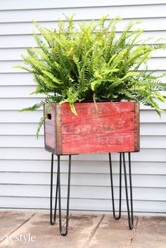 a planter with some plants in it