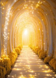 an image of a light at the end of a tunnel that is lit up with fairy lights