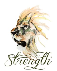 a watercolor drawing of a lion's head with the words strength