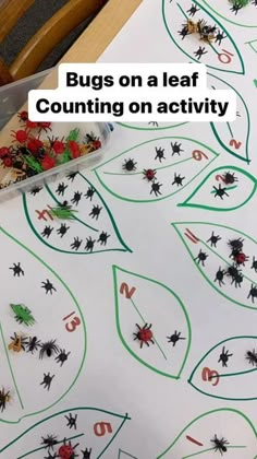 bugs on a leaf counting activity for kids