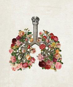 a drawing of the lungs with flowers on it