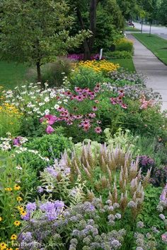 a garden filled with lots of flowers next to a sidewalk in the middle of a park