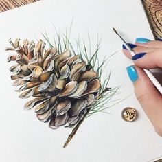 a woman's hand holding a paintbrush next to a drawing of a pine cone