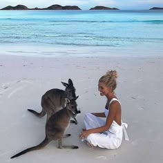 a woman sitting on the beach with two kangaroos next to her and an island in the background