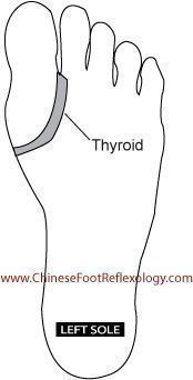 Boost Adrenal And Thyroid Energy Using 3 Reflexology Points Reflexology Points, Foot Reflexology, Adrenal Fatigue, Alternative Health, Reflexology