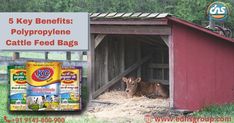 #cattlefeedbag #cattlefeedbagsmanufacturer #cowfeedbag #animalfeedbagsmanufacturer #animalfeedbagsuppliers #wovenpolypropylenesacks #printedpolypropylenewovensacks #PPwovensackfabric #manufacturerofsackbag #polypropylenesackbag #HDPEwovensacksbag #PPwovenfabric Woven Bags, Sack Bag, Packaging Design, Woven Fabric, To Grow, Need To Know, Benefits