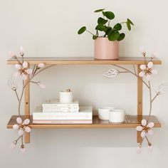 a shelf with some books and a potted plant sitting on top of it next to two mugs