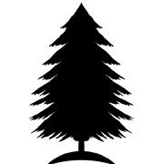 a black and white silhouette of a pine tree