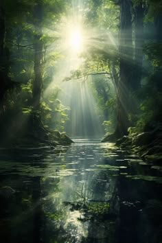 the sun shines through the trees and over the water in this beautiful forest scene