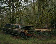 two old cars in the woods with moss growing on them and one is rusting