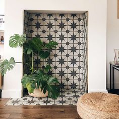 a living room with a potted plant in the corner and a rug on the floor