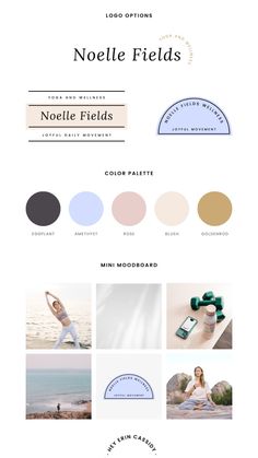 the website design for nolle fields