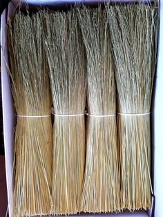 four straw brooms are lined up in a box