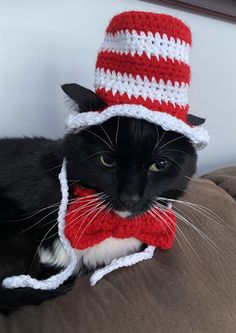 a black cat wearing a red and white crocheted hat on top of a couch