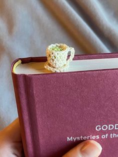 someone is holding a book with a crocheted ring on it