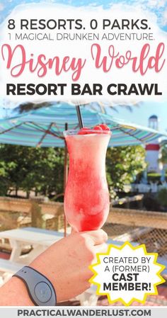 the disney world resort bar crawl