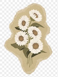 white sunflowers with green leaves on a piece of paper