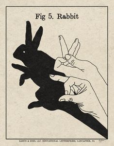 an old book with two hands reaching for the rabbit