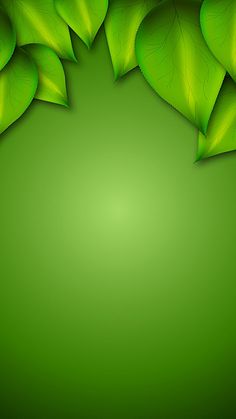 a green background with leaves on it