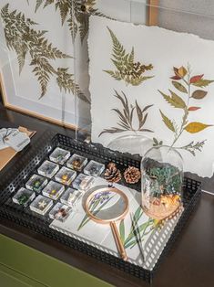 a tray with some plants and other items on it