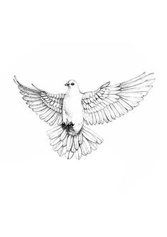 a drawing of a bird flying in the air